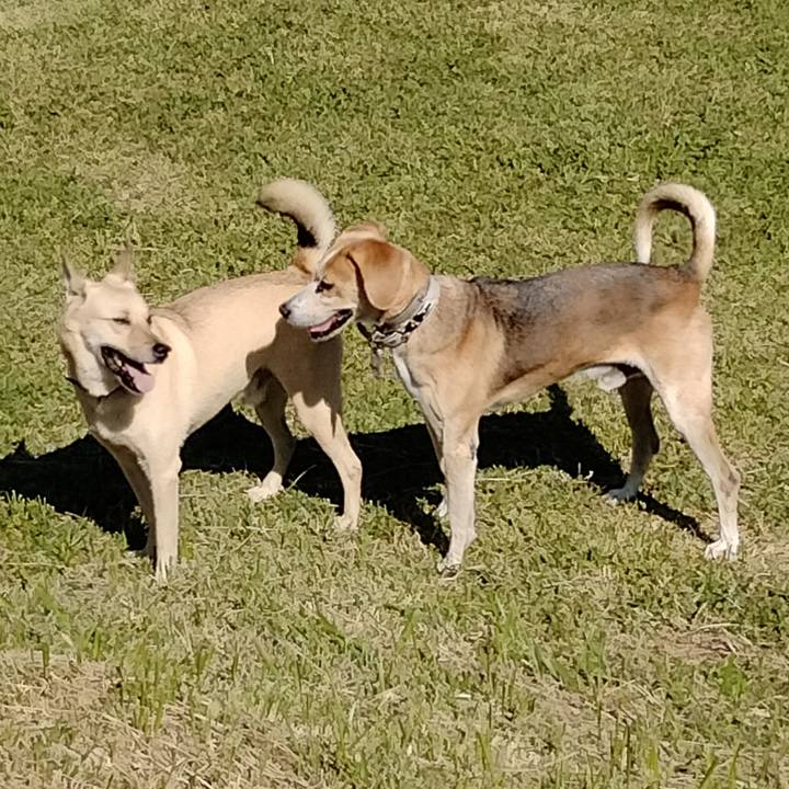 885d6e2c c2d1 4348 913e 5793e0ab3356 1644504964458