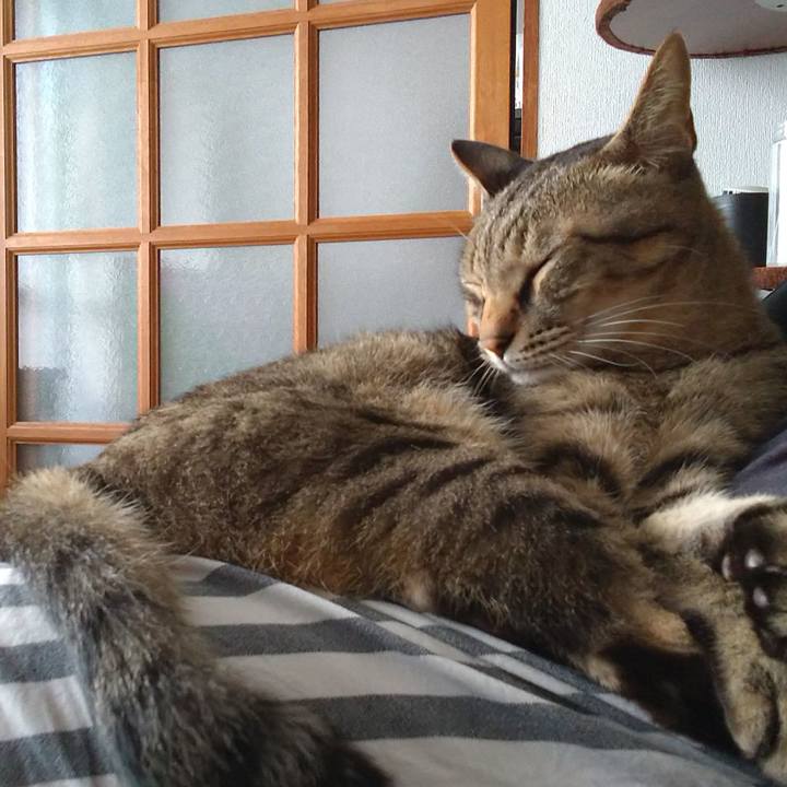 885d8fe3 8646 4e1b b0a9 f3eb28286686 1662190362933