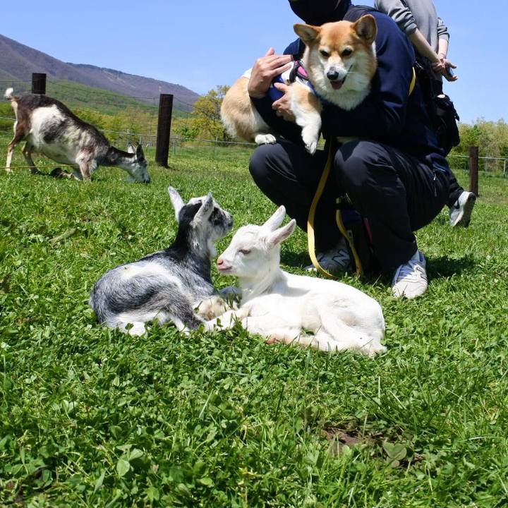 885d9787 5ebe 4a9b b819 ad787a7a3f60 1683205545238