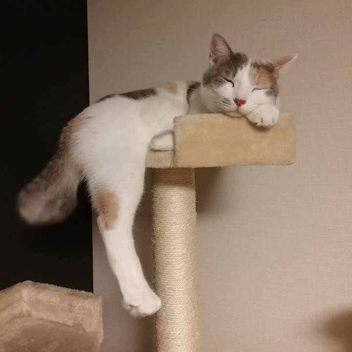 885dc2ba c6fd 47bf 8cb3 594631b7eb3d 1576835141927