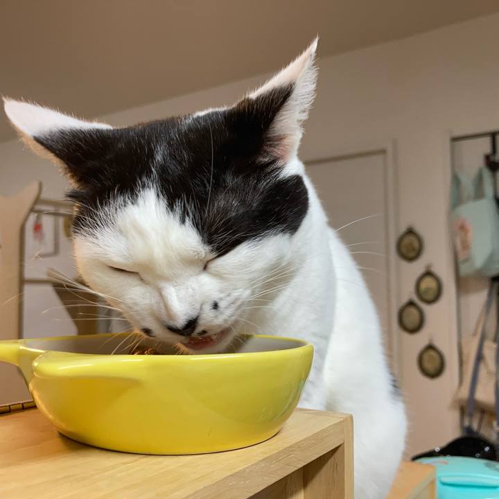 885dfaab 6529 4db7 9a16 aa46ceba8476 1759178999753