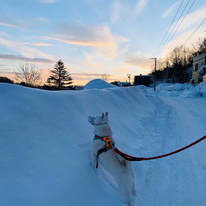 885e02c9 1e84 486f 9e01 31865c286099 1675031201106