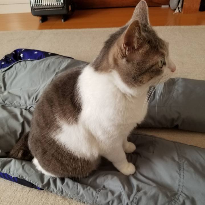 885e1af8 6430 4745 91af b42018569b5c 1608179911325