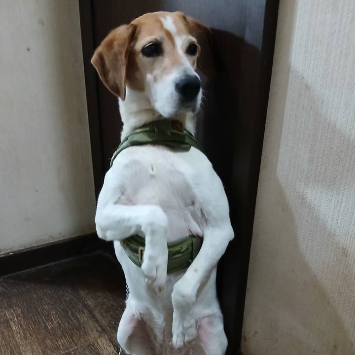 885e6f98 22dd 4c81 a685 41feaaf01088 1751029743238