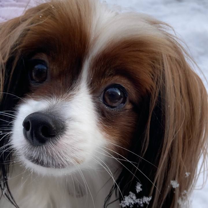 885e89cb 4bbb 490d 815f af8afeaff48a 1672459500884