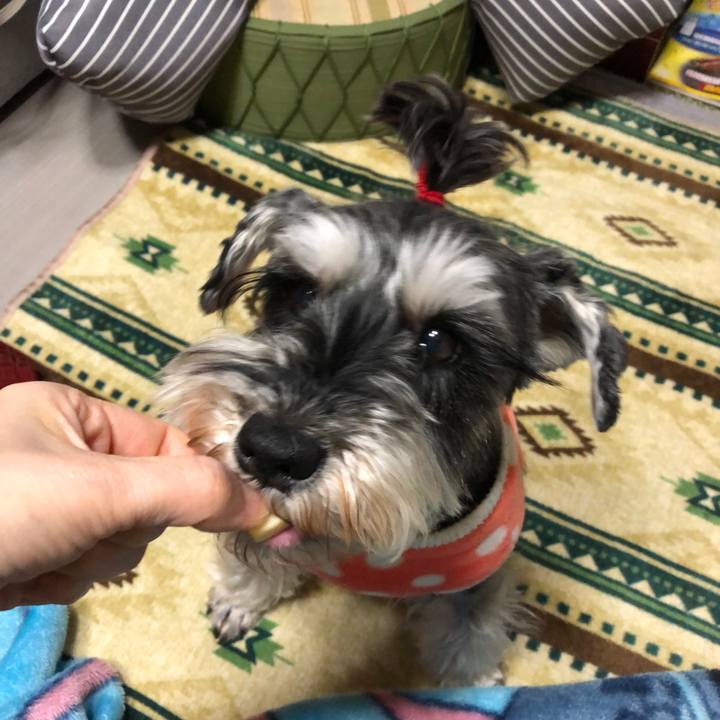 885ebc94 678e 4c24 81b0 3125b19ead71 1649073480688