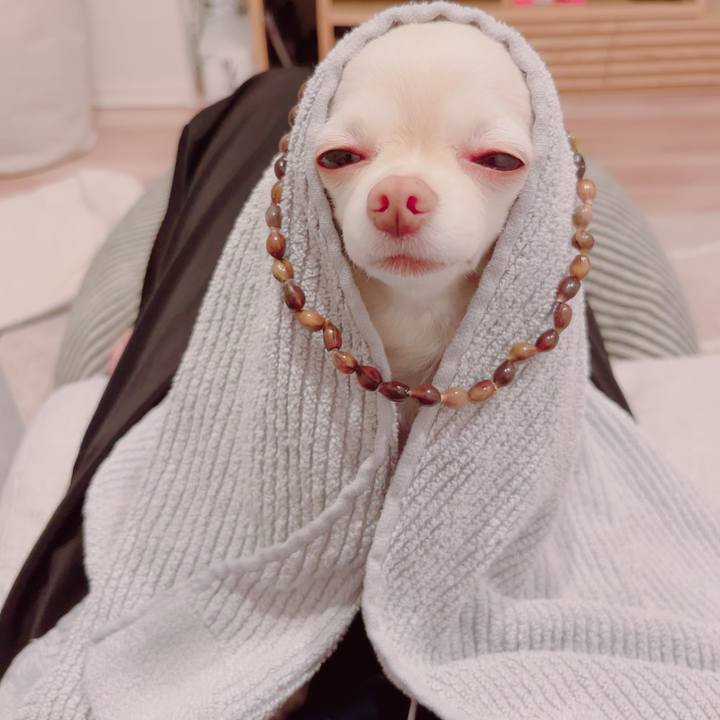 885f1bf8 19c4 49fb a370 8b04b6eefedf 1694687678680