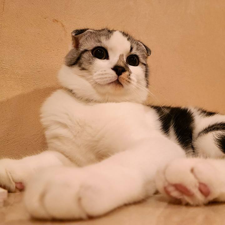 885f64e1 67f3 4c23 a1c9 c8e0c5dd3411 1635325538022