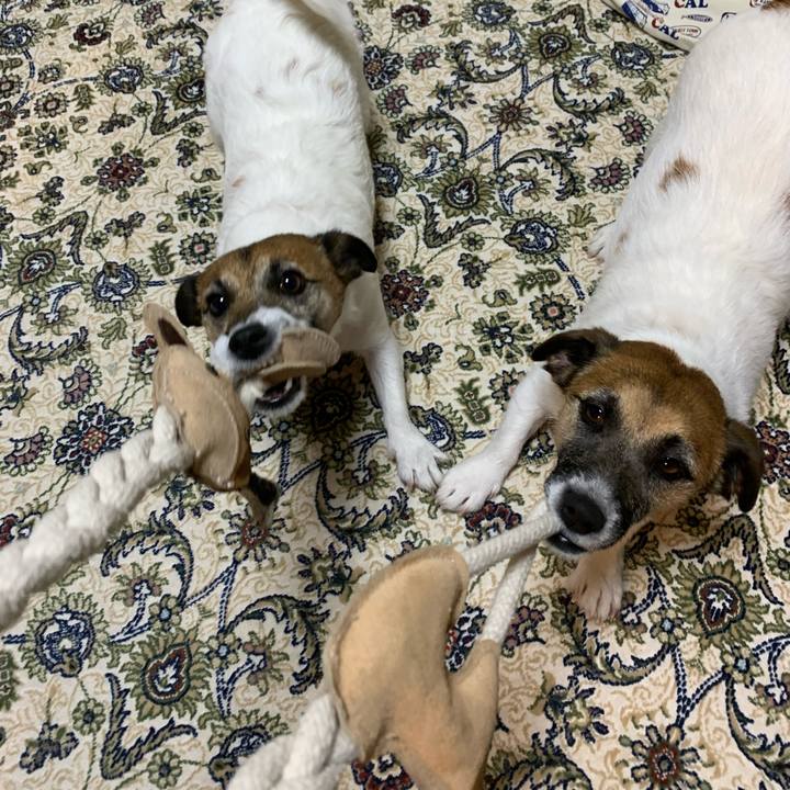 885f93da d847 48ef a075 175e67f25d2b 1608814703700