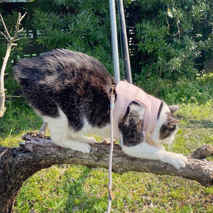 885f9a9c f4da 4d61 bb4c 3574ab02317e 1586423211535