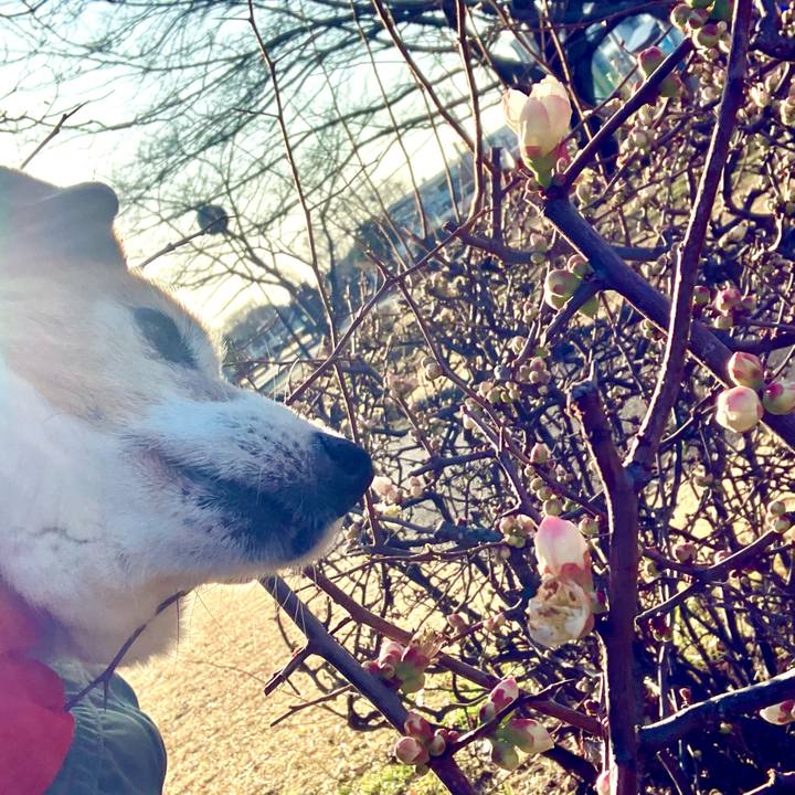 885fd6d2 2ef3 463a 9c00 3cb207e5a933 1708740443563