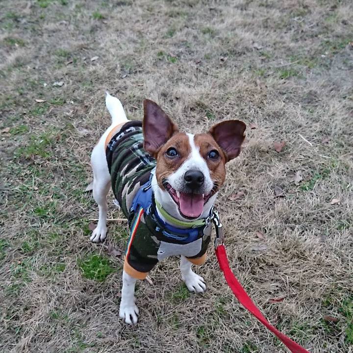 885fdd9e 5a2d 4a78 9a4e 5e92a2950f47 1579948413474