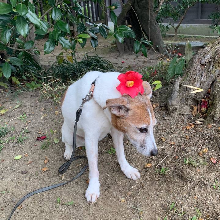 885ff2d9 f0cf 4970 8653 b78afbc535e1 1616900179251