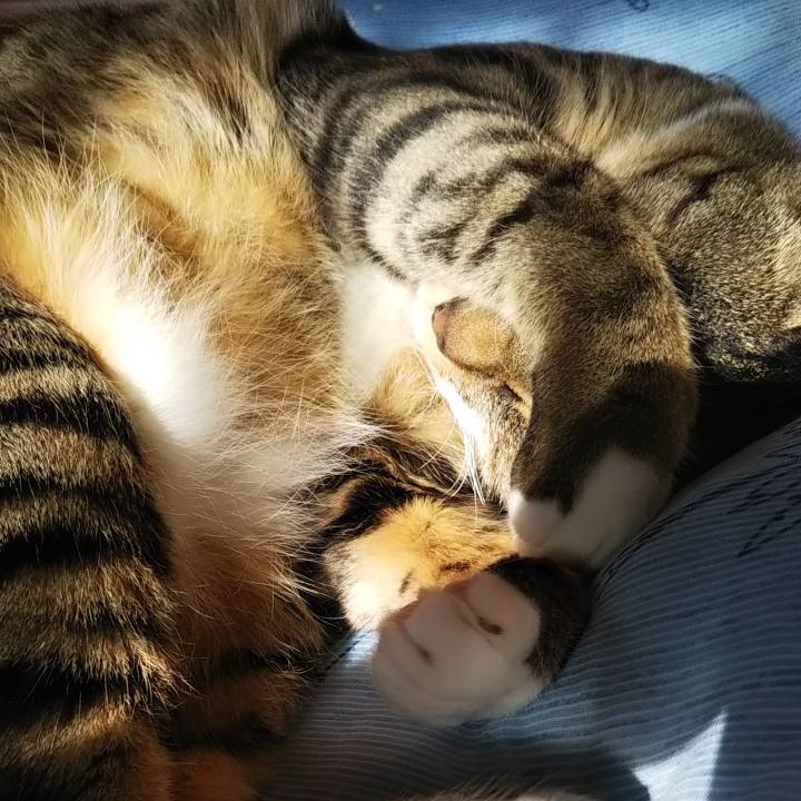 8860004f 06e8 4f54 8641 4e8d2252ff2d 1624487435713