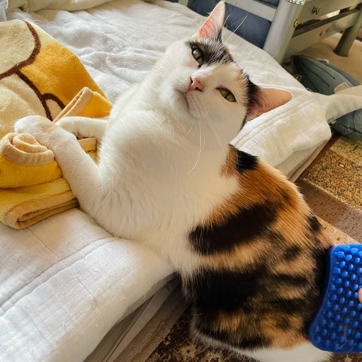 88600d6b ae9e 4ea9 8cc0 322b12c80bf1 1624501022406