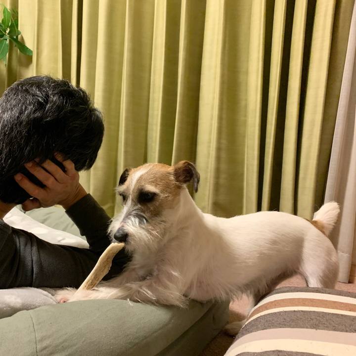 88602836 387c 4158 ac3e 11926f951e6f 1577453384975