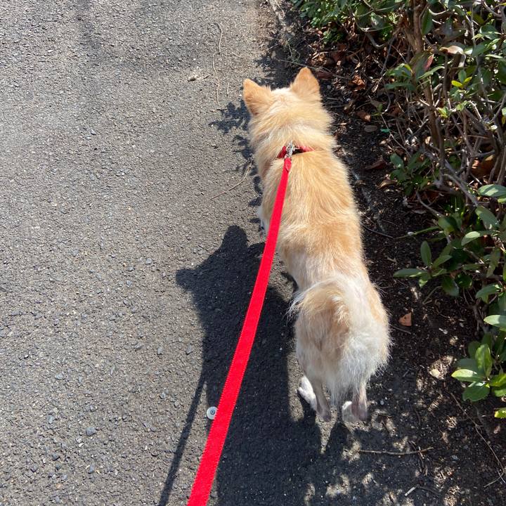 88605e87 030f 4054 acf4 8a58f4ed74f9 1646893214145