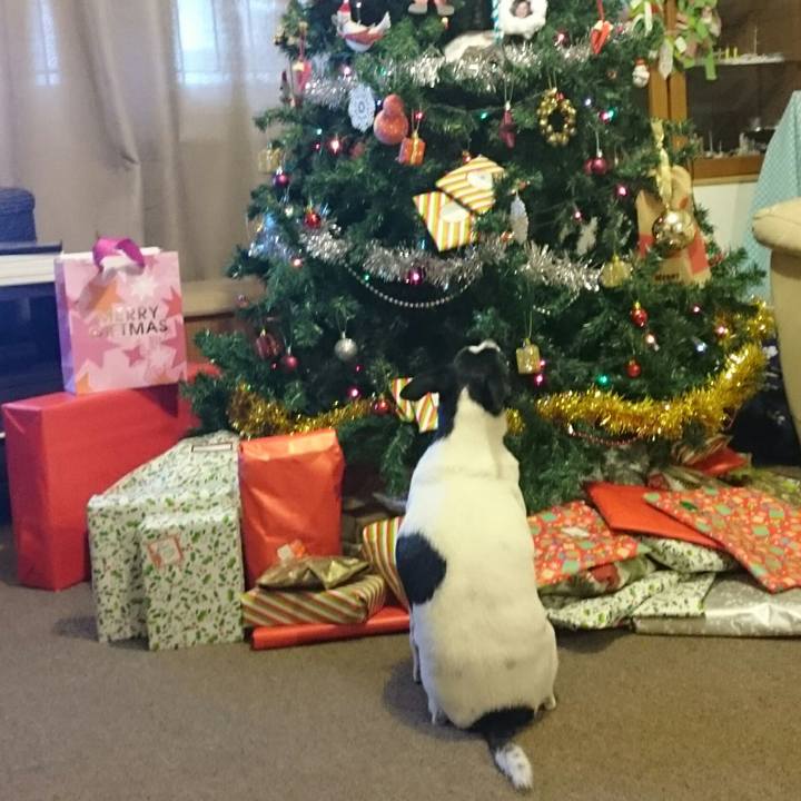 88608c47 6053 4d1f 8864 dadc4862f5be 1514143622745