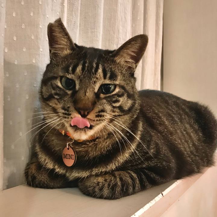 8860b71a fe7f 4b98 ac29 0e08211530de 1590212048595