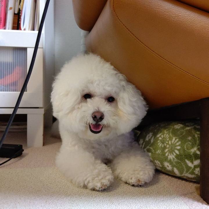 8860f306 1589 4a6e 96a2 579da641e6ff 1595504996804