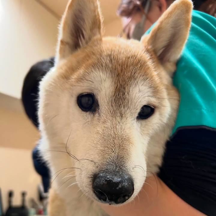 8860fd2b 943e 4df7 8d66 3b434df01d7e 1736756652591