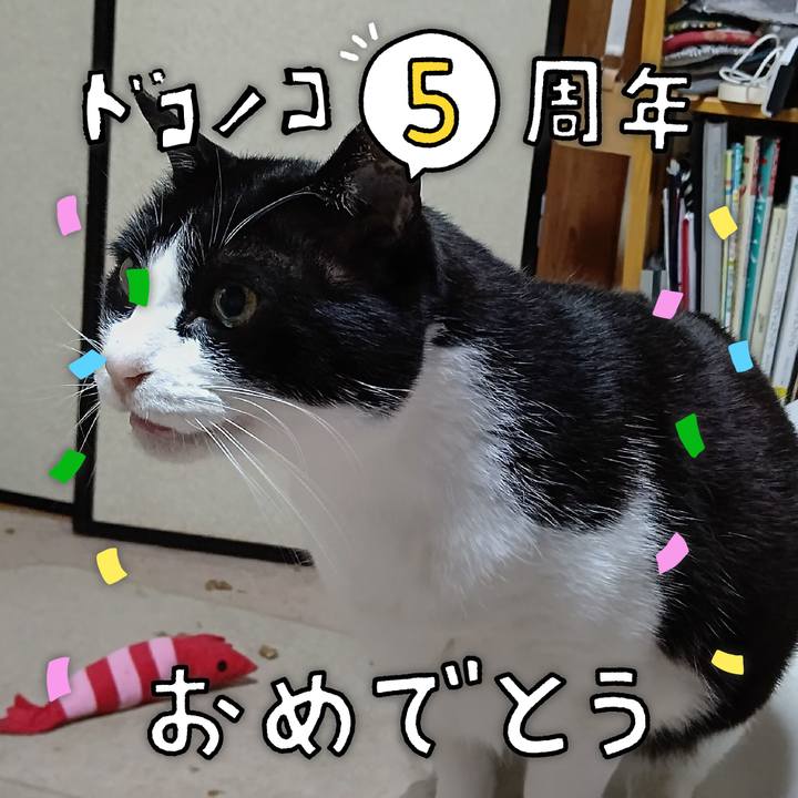 886106d4 5884 4afb 82c8 d32acbd659bd 1622859818953