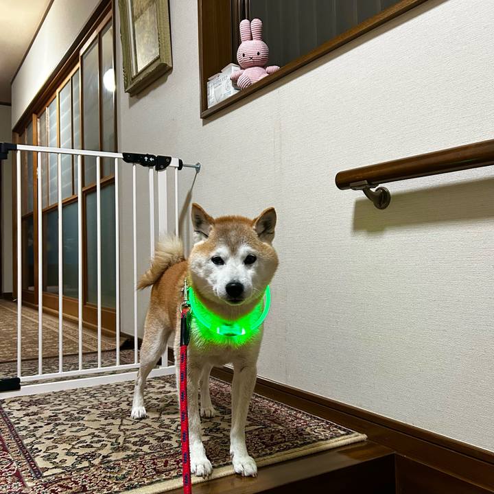 88613395 e20a 469c 8b33 f612ef5cca35 1766749073957