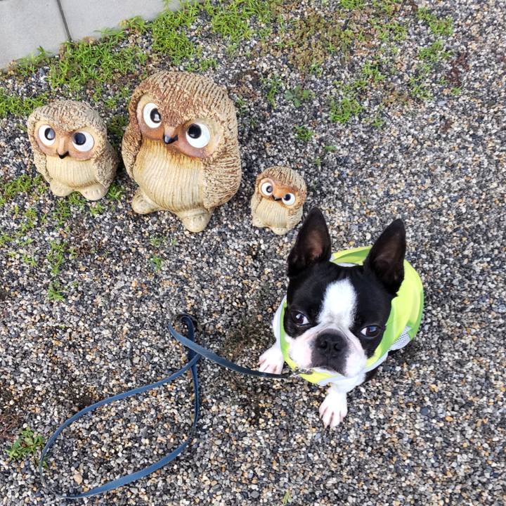 886149ee 42bb 4a57 a554 97f7e092287c 1626251529022