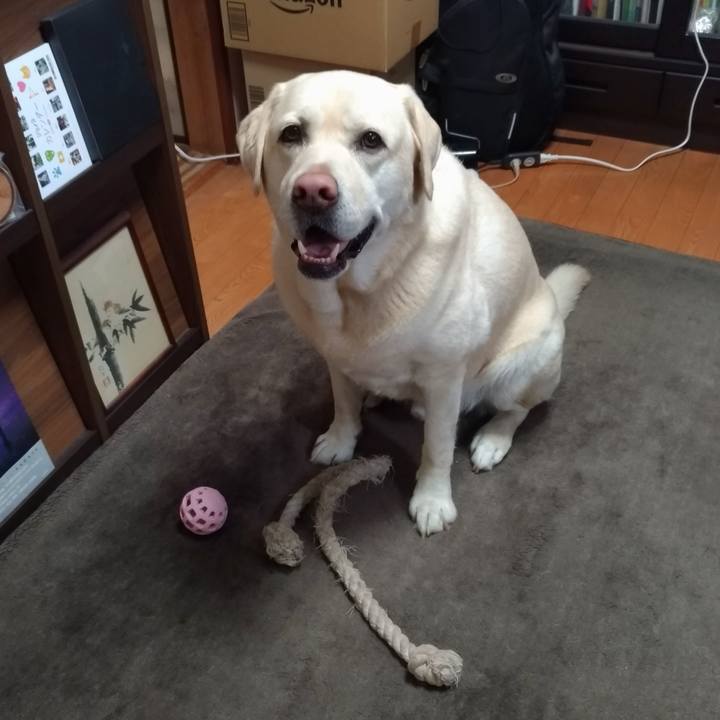 88617aa0 30b9 493a b2e5 56dcdc8a5cb0 1643547898198