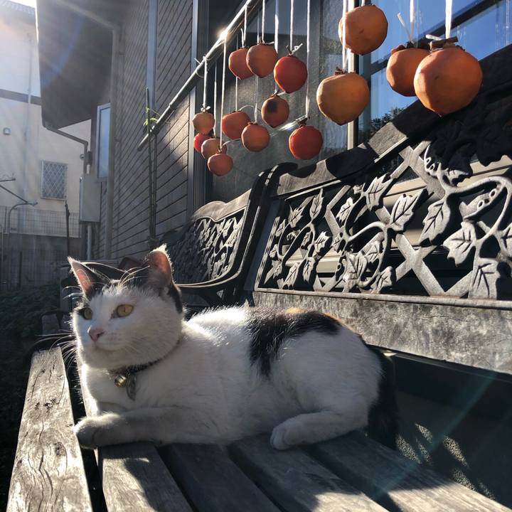 88617e74 eff3 464a 9470 d3da02c664ba 1607491257527