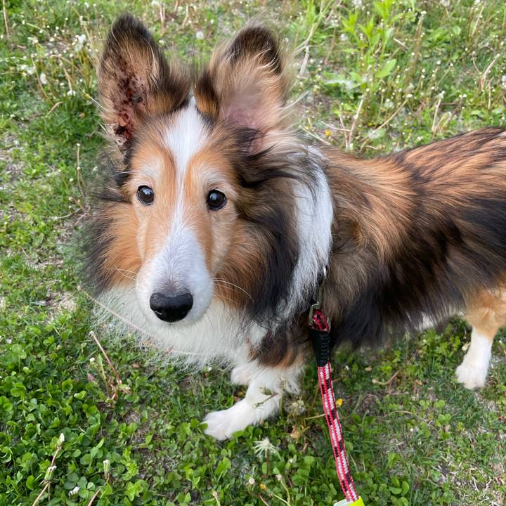 8861a09f 4603 4f9c 87d2 a59669f76ef9 1725621355018