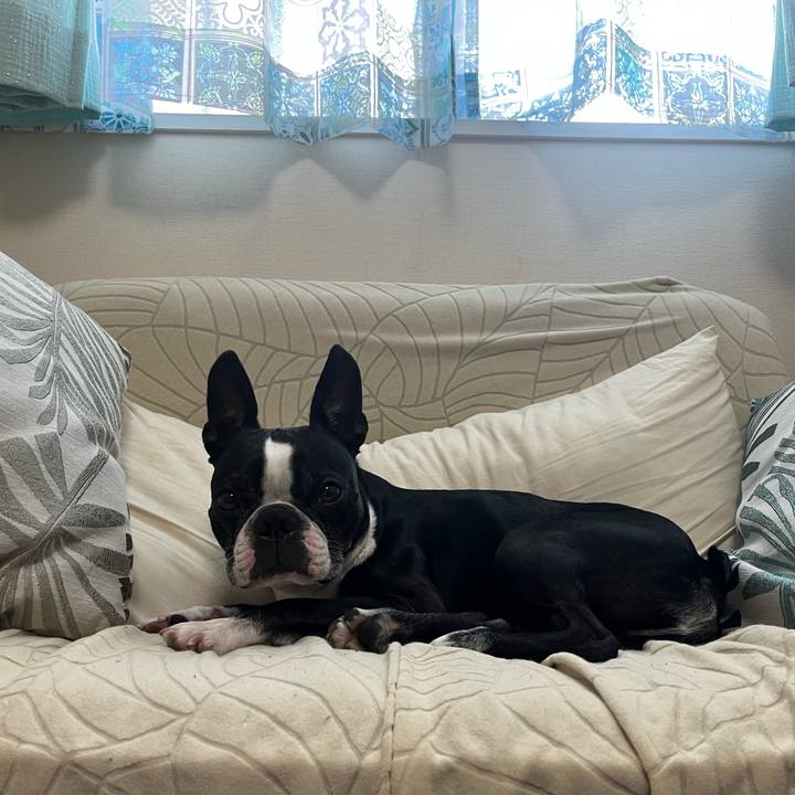 8861bee9 3390 4c3f 9d33 e81df30b702c 1684388550071