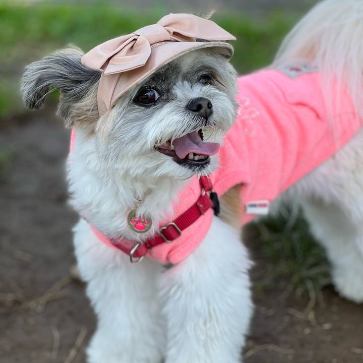 8861ed38 1b54 4f80 887b ecdcd1dab4c0 1650883568735