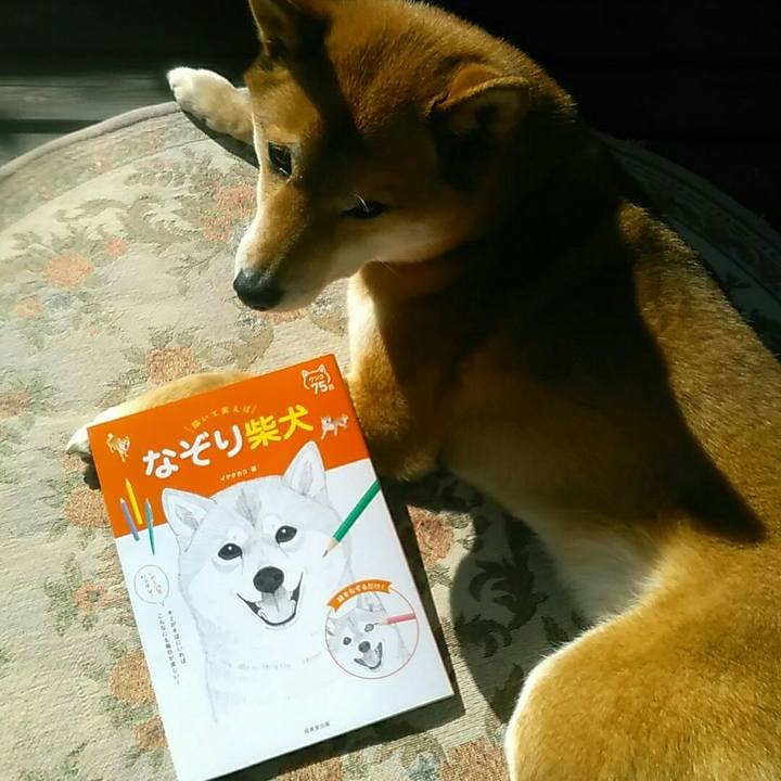 8861f135 3b69 4ece b5f9 d8d148eee85a 1552029286953