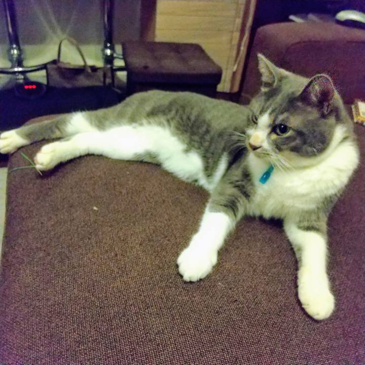 8861f521 674f 4d12 93c4 dbe22f354e09 1629463845403