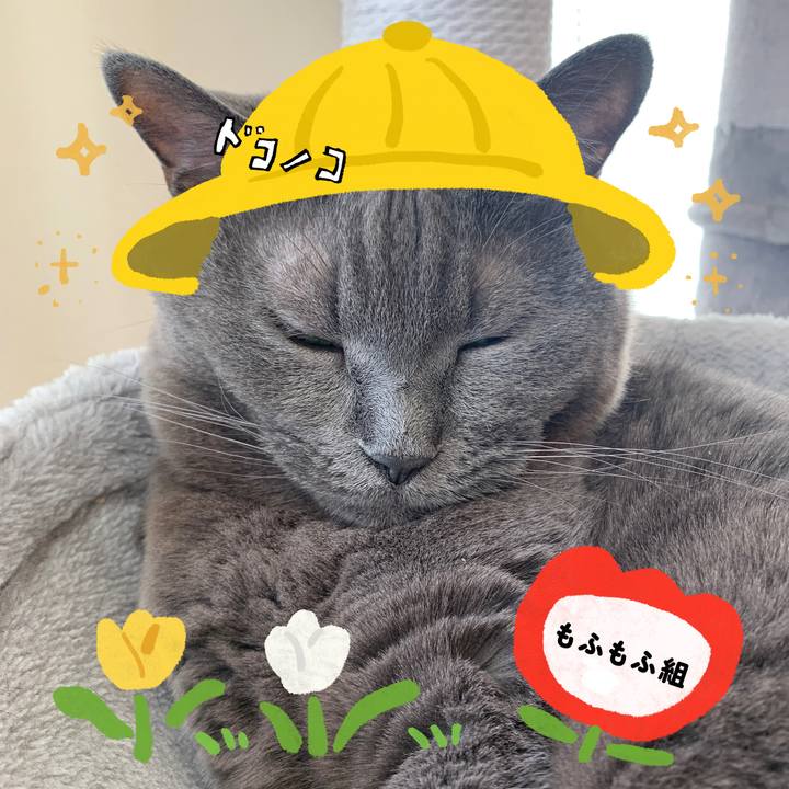 8861fe38 140b 4e2f 8e6f eb153f672c10 1712371637848