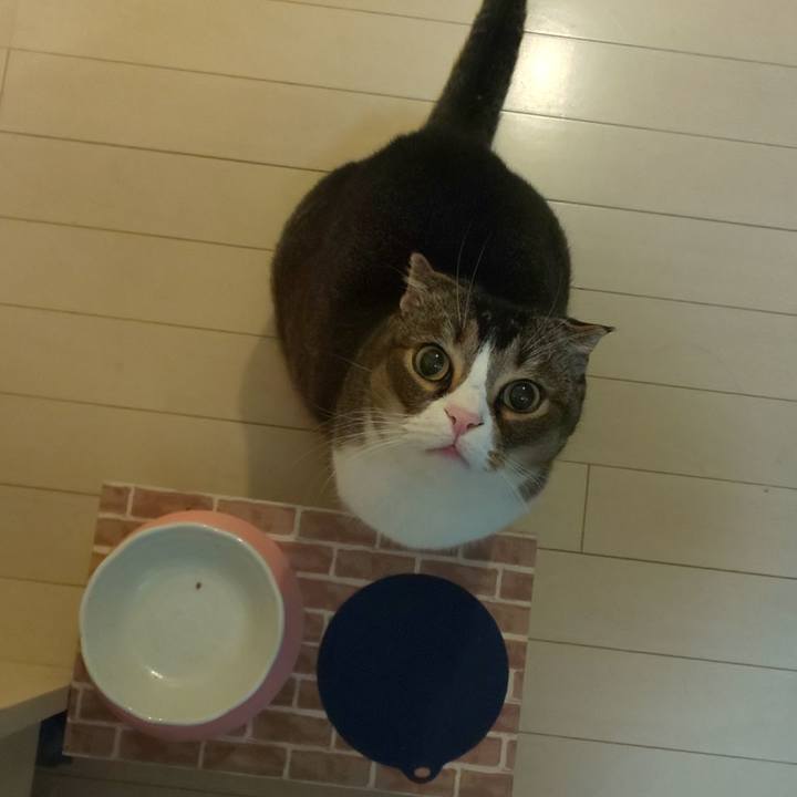 8861fe90 067b 418e bcde c1687a8d4810 1590243702617