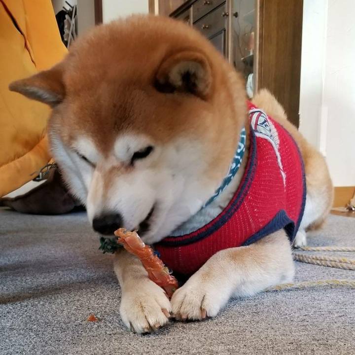 88620746 efd5 44bb 9a08 cb377c9f202b 1520298551203