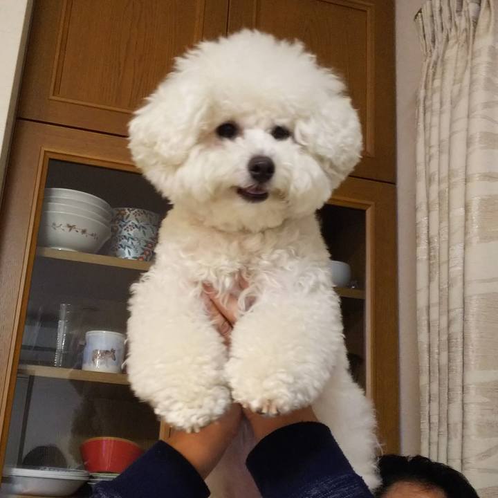 88621a8a 9202 49a8 91bb c60ee3651a94 1525868469404