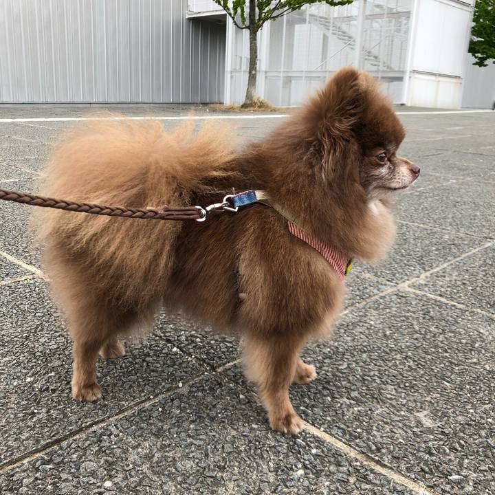 8862269b 580e 4737 9345 d6ae3636b2e9 1562894767410