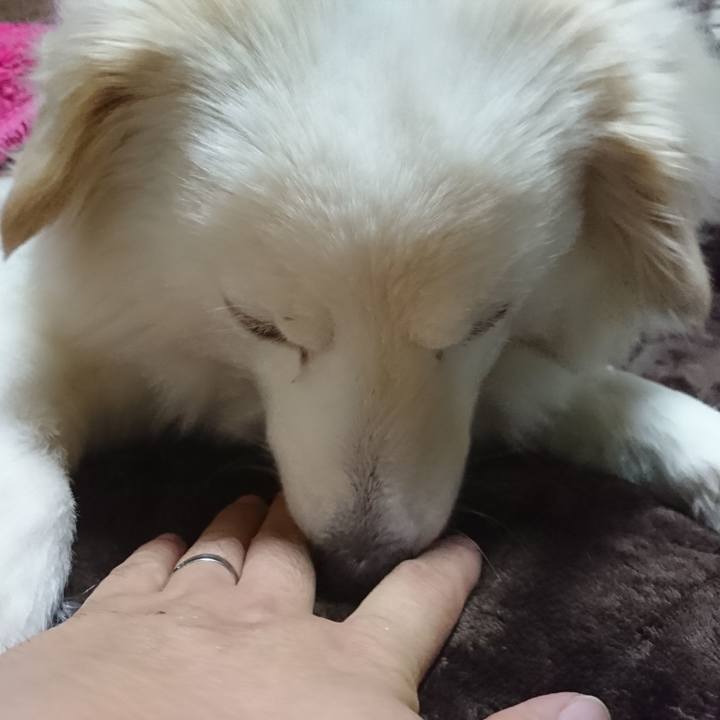 88623eef b2fd 4479 b331 9e37823802f1 1521751914900