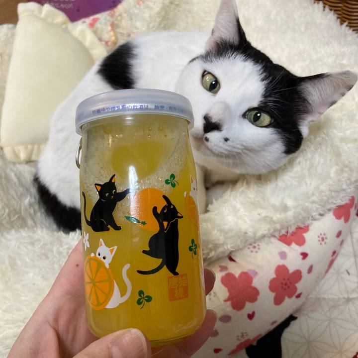 886251f3 c1d3 416f ae1d 0c538672bd5e 1774093290435