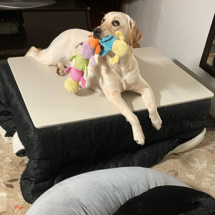 8862b864 cb43 454d 9955 8204e1cbbad3 1642976145359