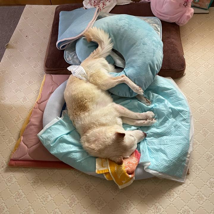 886302be c63e 49db aec3 8656cf79797e 1663037504824