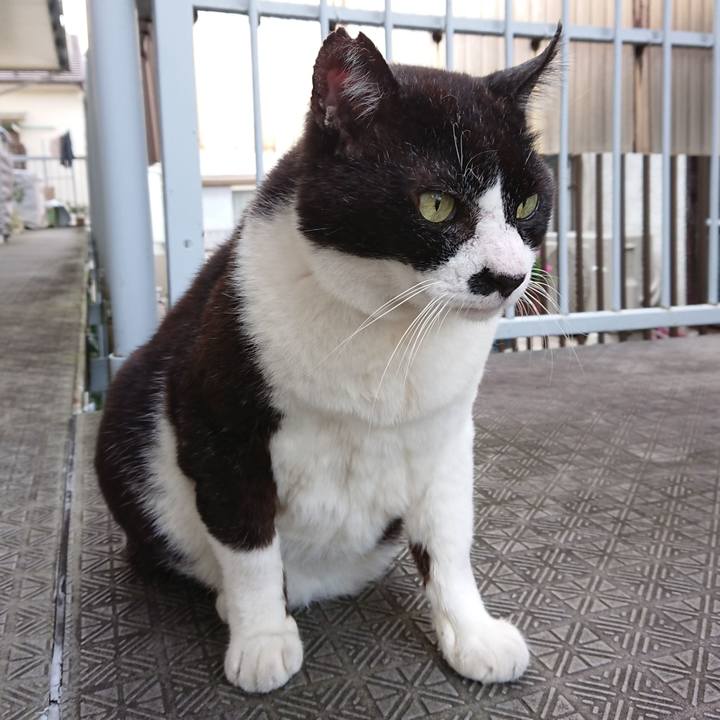 886313eb 79e9 4a52 b848 9445e4331676 1633416285288