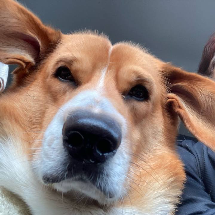 88631572 06c0 4a0c 9496 d714cee4f2be 1722470342695