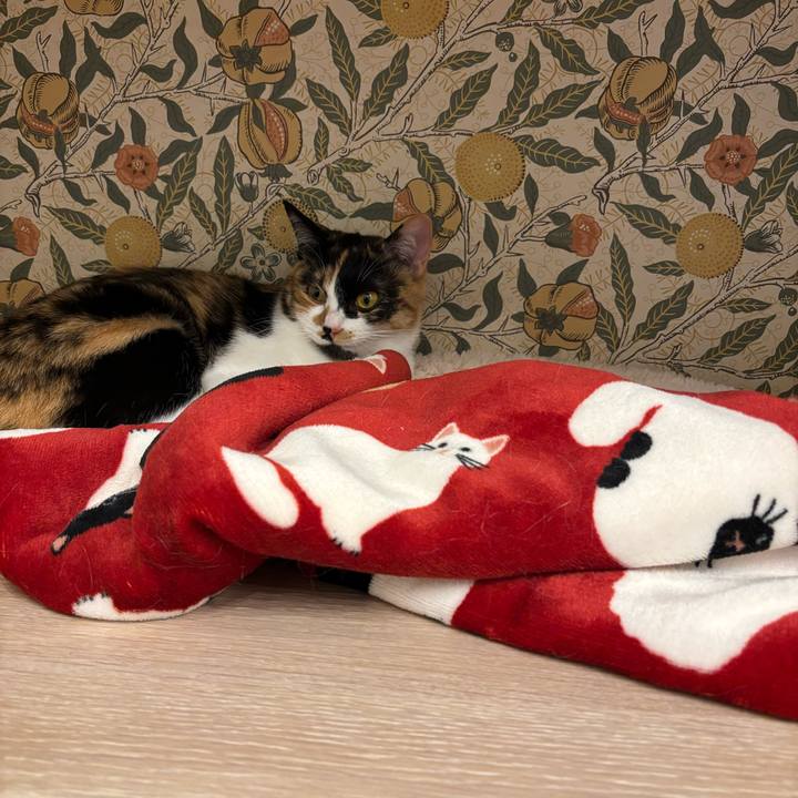 886318c7 f464 49d6 a15c 7ef475e4c709 1772787675560