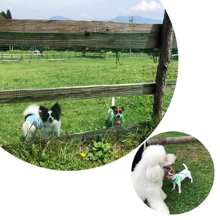 886332d4 ebc4 418a 81ff 683281829596 1531718686502