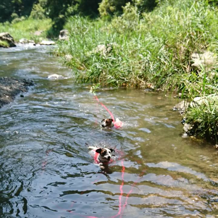 886341e2 4b56 42ab 9700 77c6bcfb88fc 1564893214005