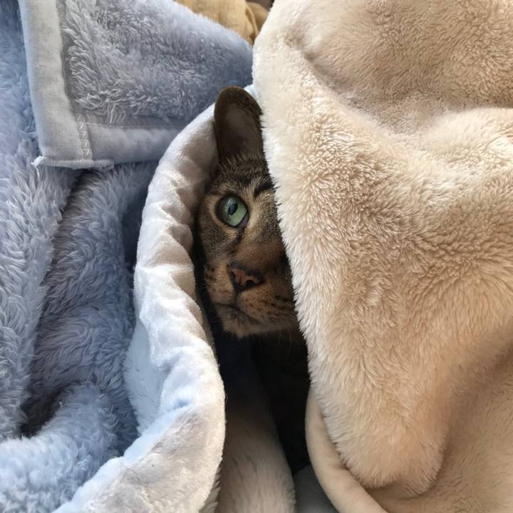 8863554e fd44 4218 b285 82dd6da7da9b 1511486350229